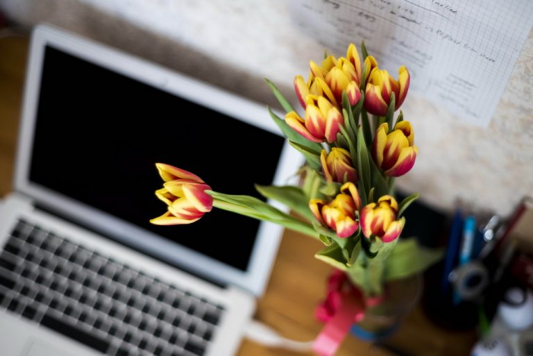 PPC, SEO, SEM - Co to znaczy?
