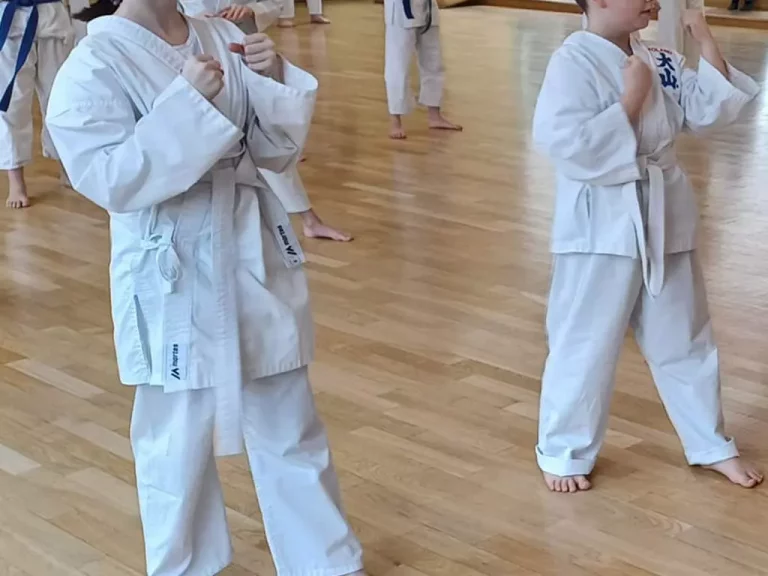 Od juniora do doświadczonego adepta – jak ewoluuje trening karate wraz z wiekiem?